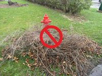 Brush Pile Near Water Hydrogen